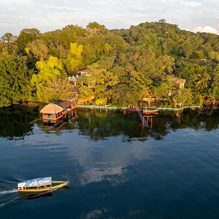 Las Luciernagas Hotel Flores Eksteriør billede